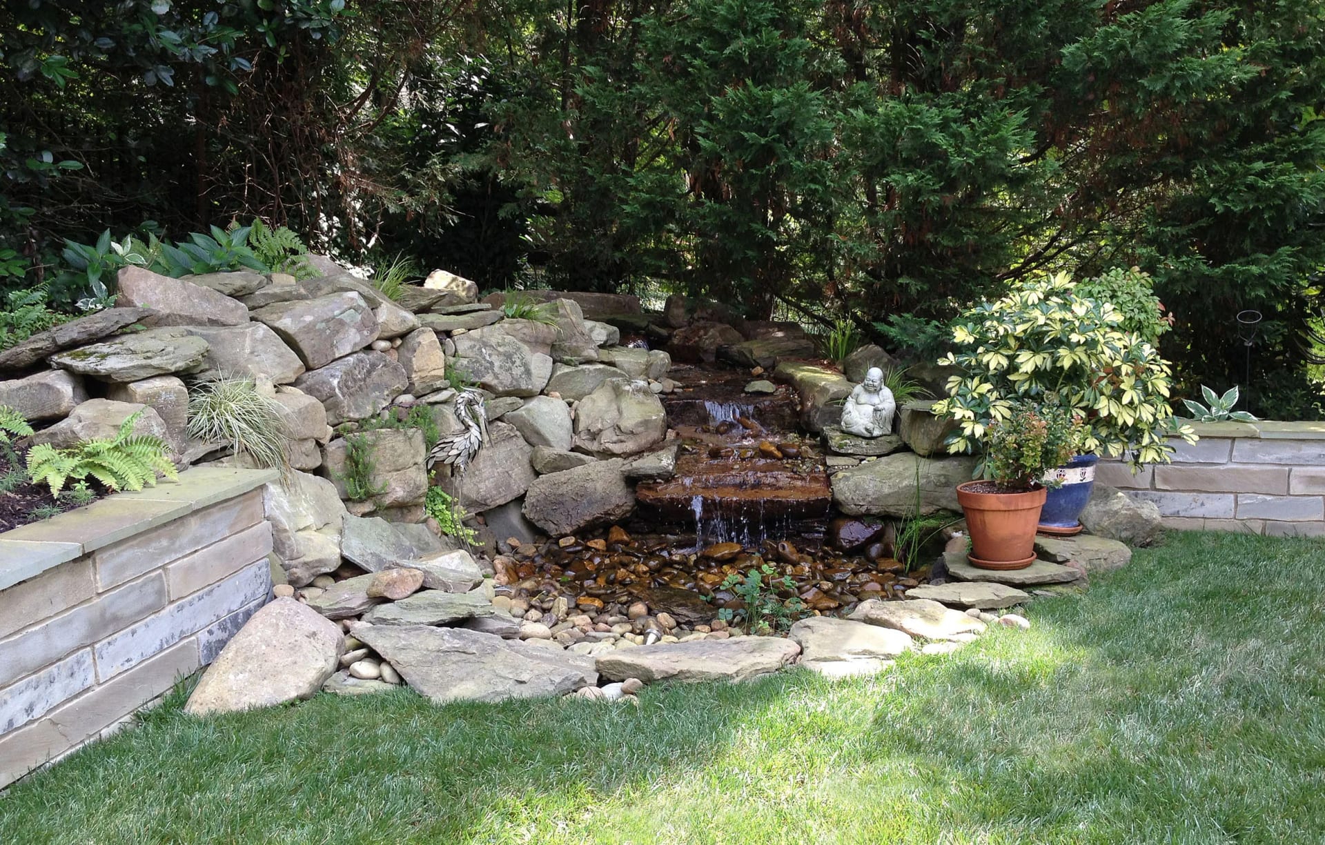 Beautiful pond landscape