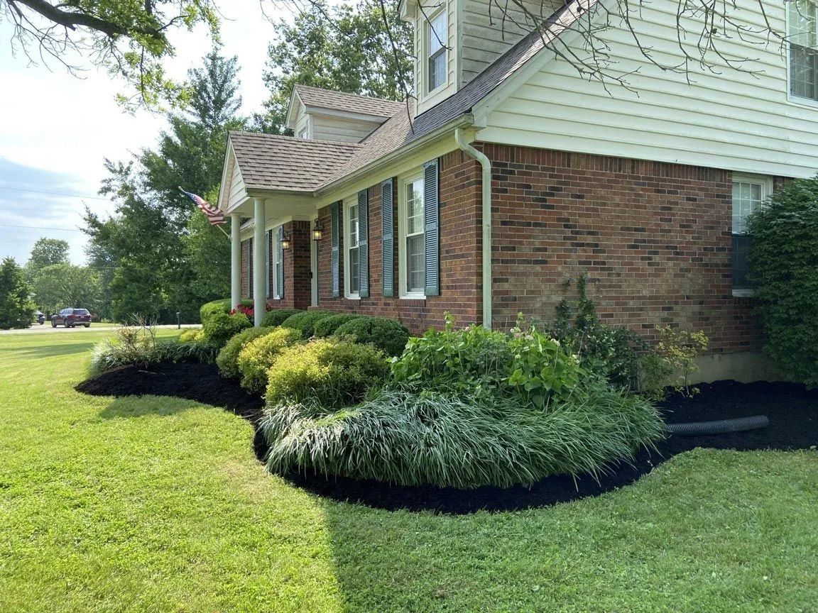 Front yard landscaping Louisville