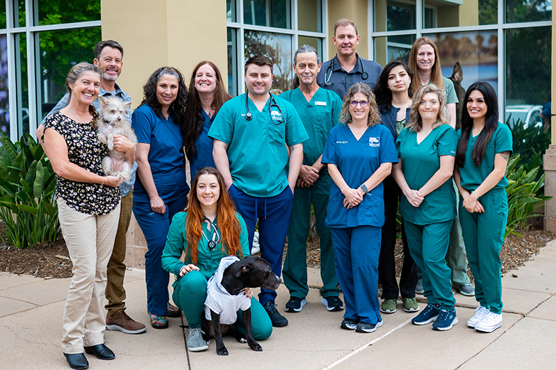 Veterinarian caring for pet at Torrey Pines Animal Hospital