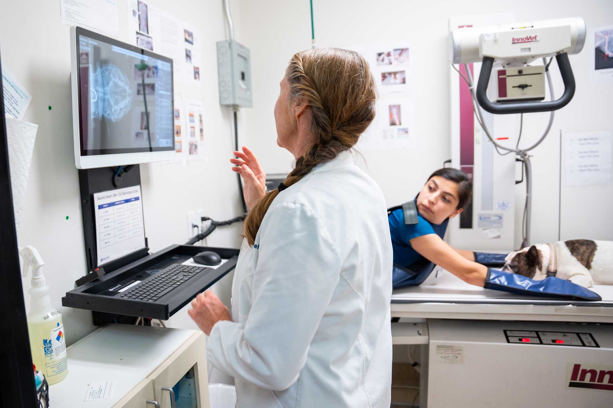 Torrey Pines Animal Hospital team