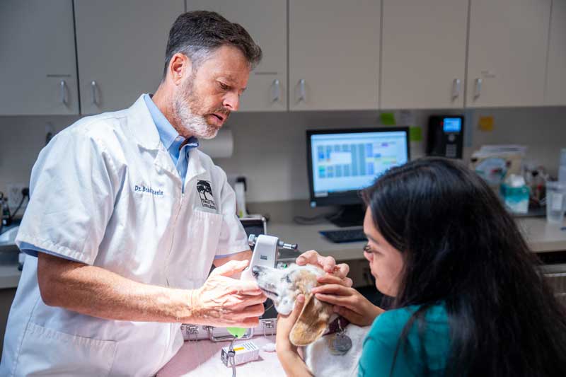 Advanced diagnostics