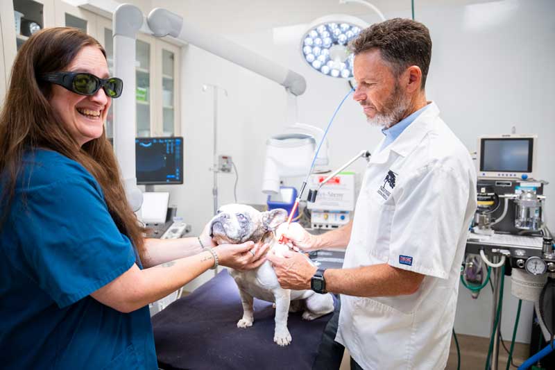 Veterinarian with pet in San Diego