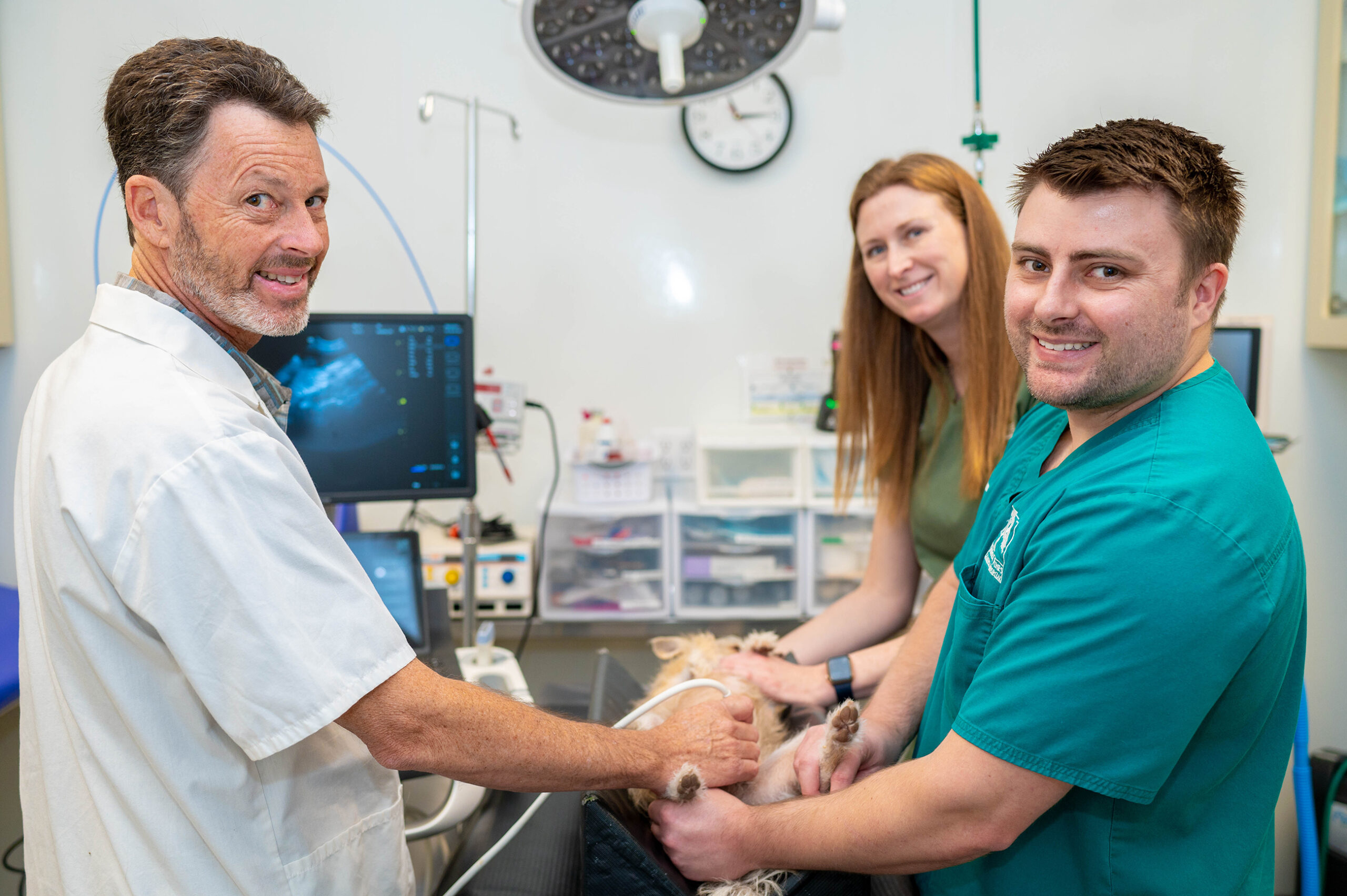 Wellness care at Torrey Pines Animal Hospital