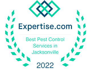 Best Pest Control Services in Jacksonville