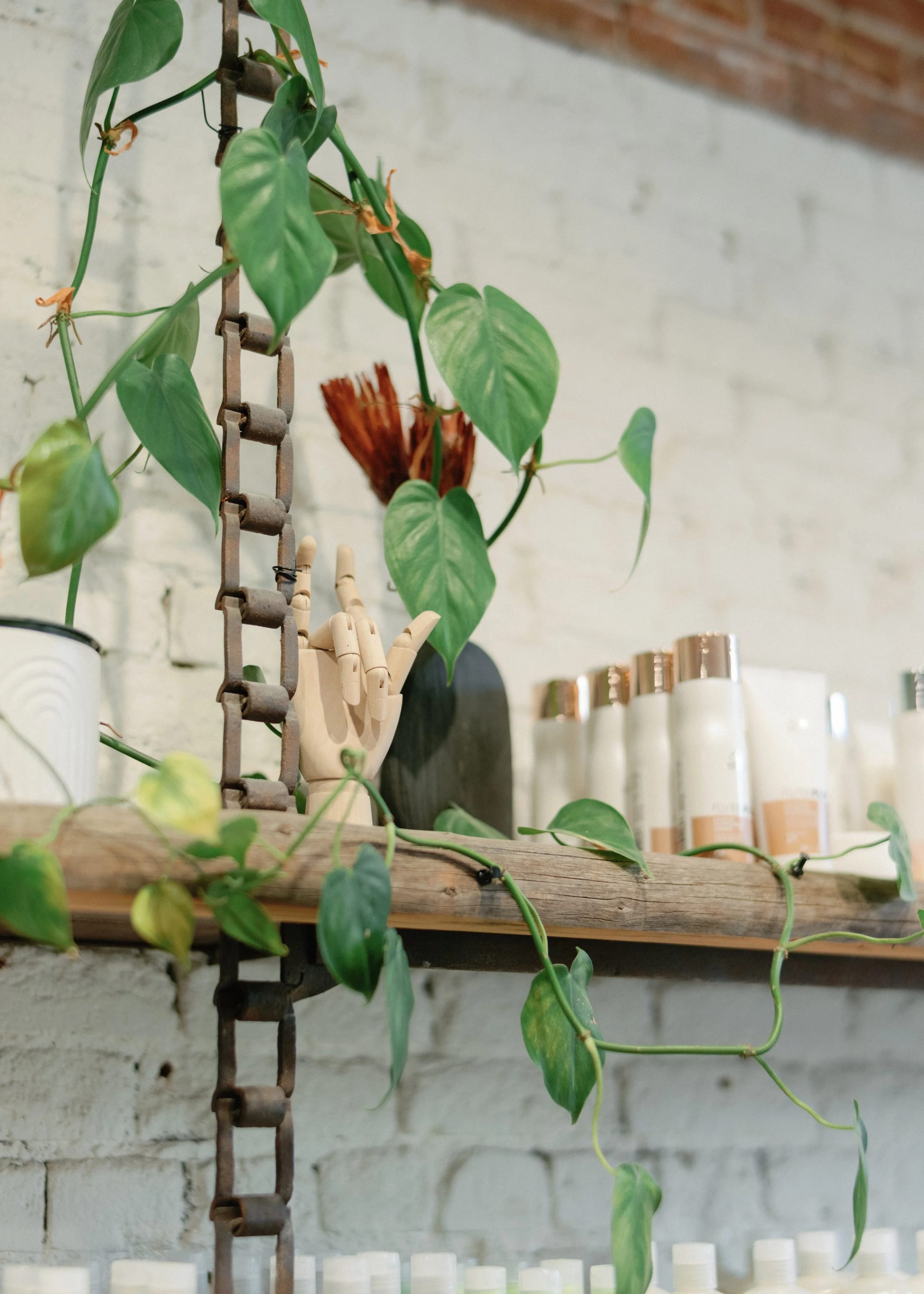 Twig Hair Salon ambiance - plants and decor