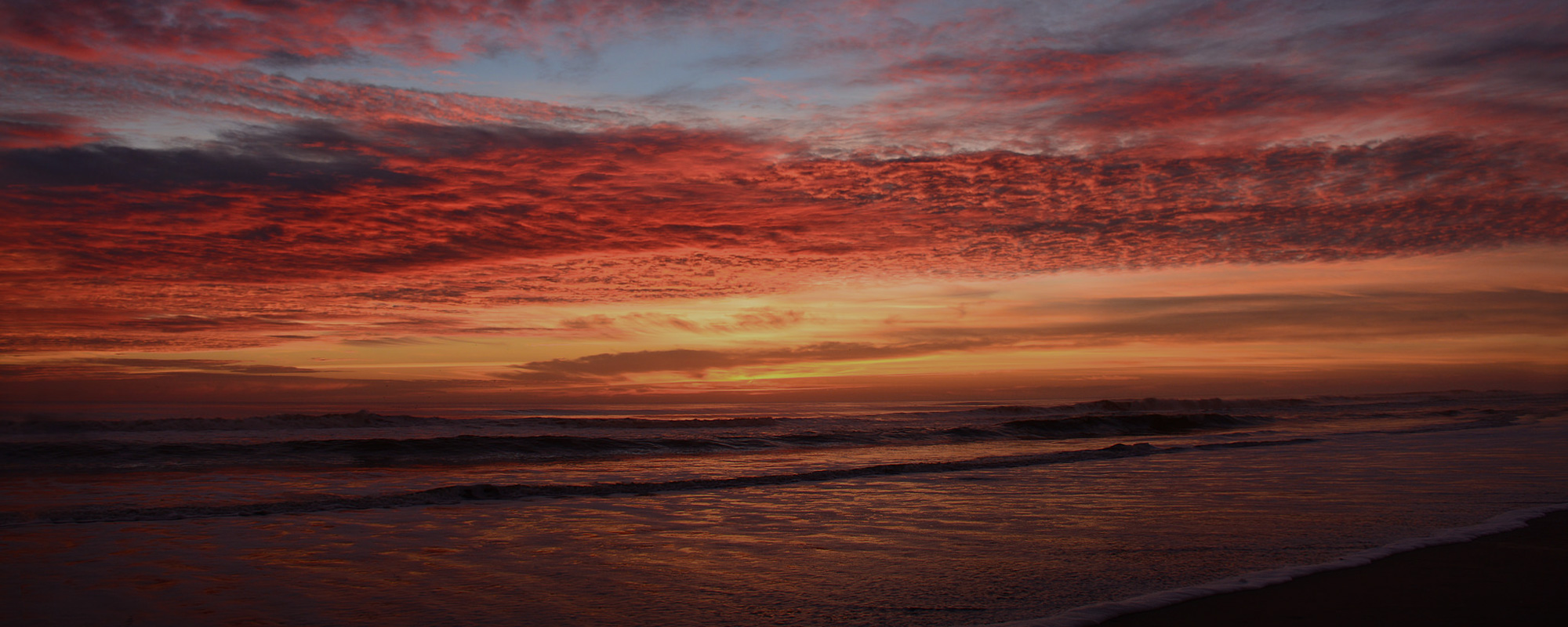 Invisalign Clear Aligners