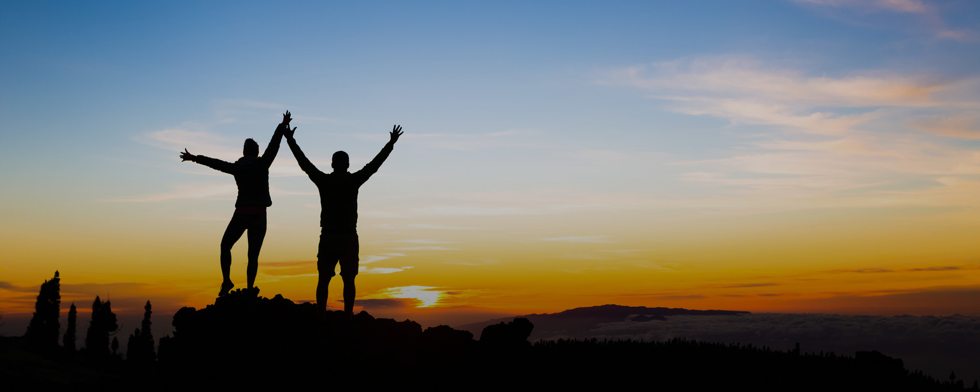 Wells Orthodontics Team