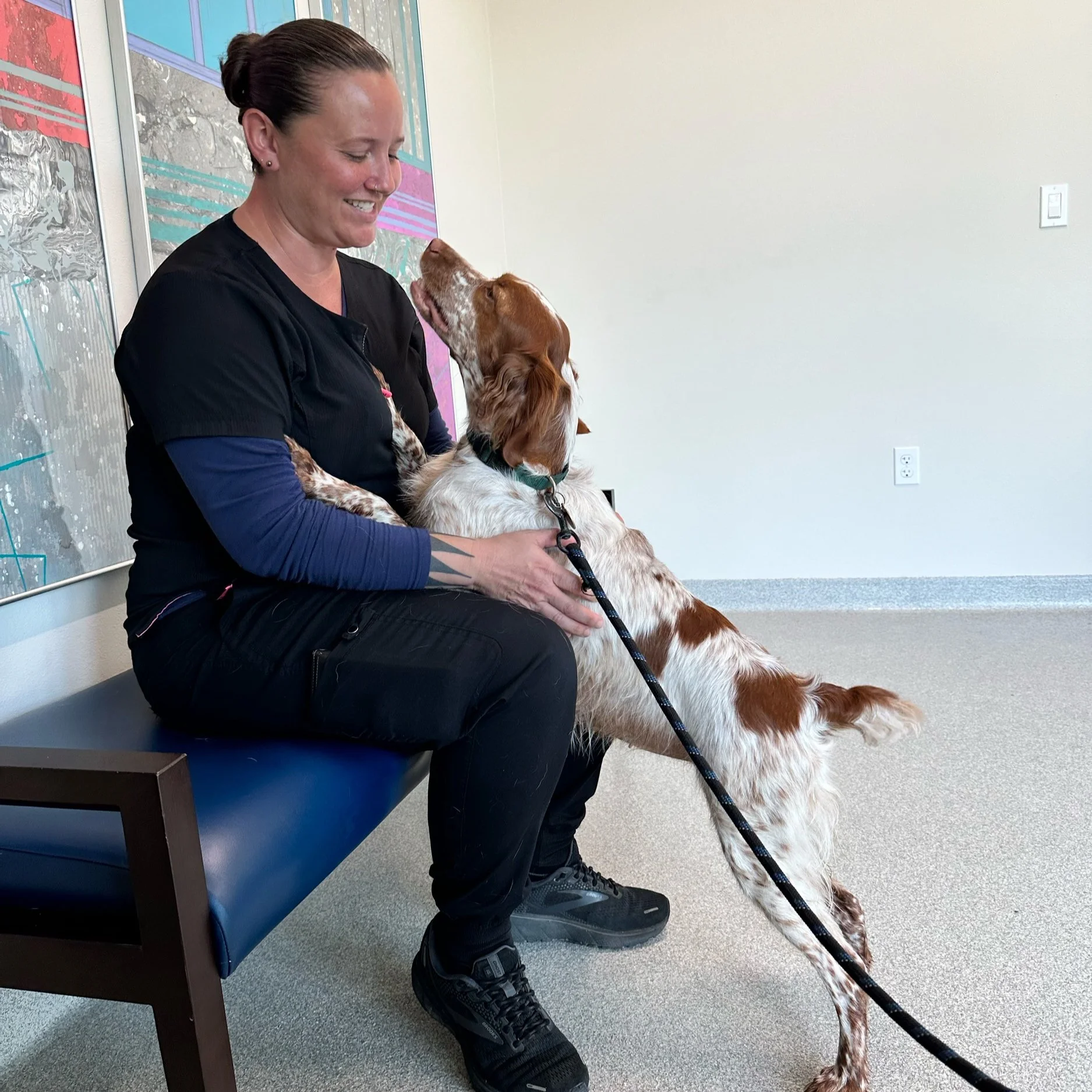 Veterinary care at West Coast Vet