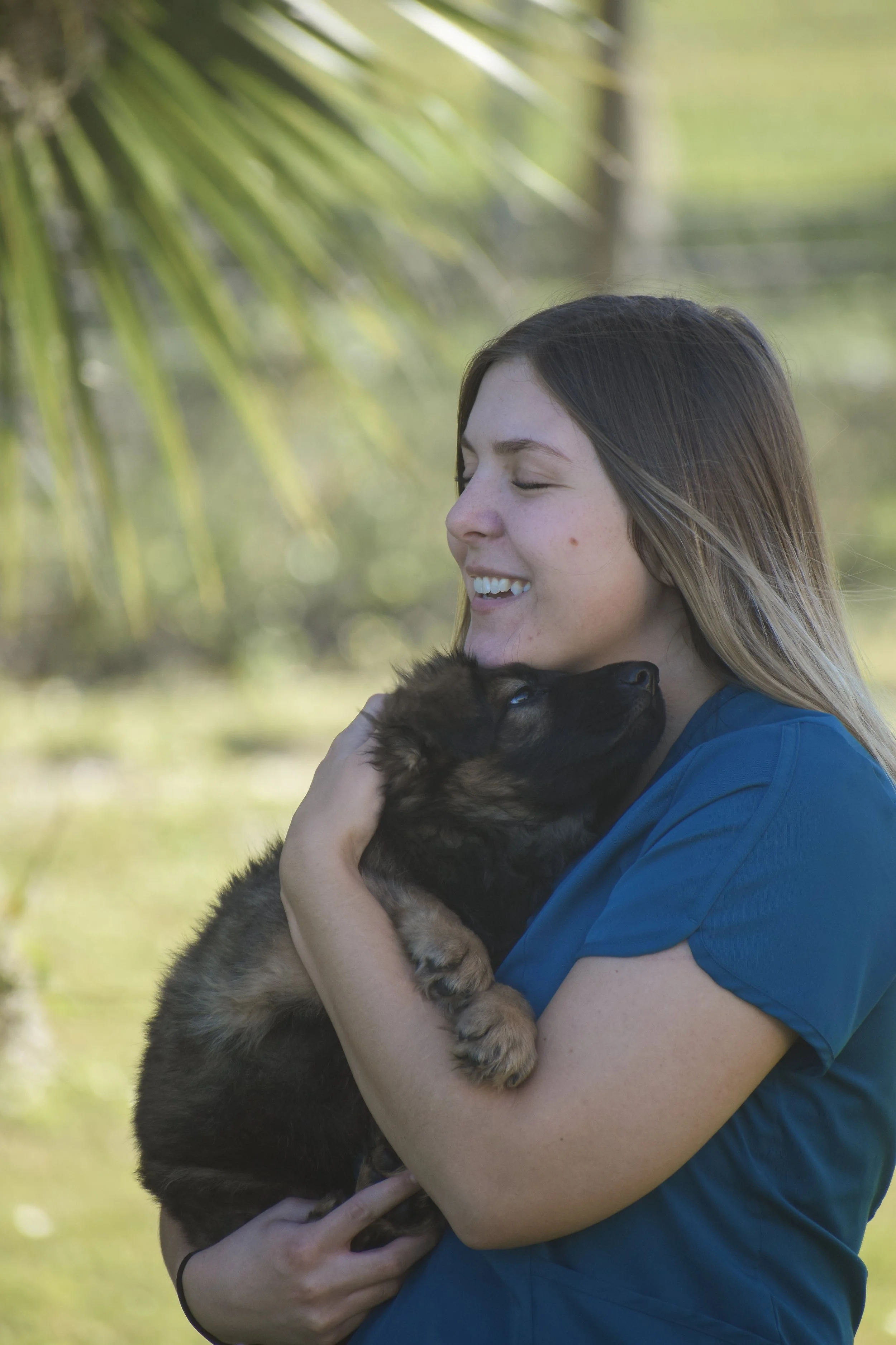 West Coast Veterinary Center Sarasota FL