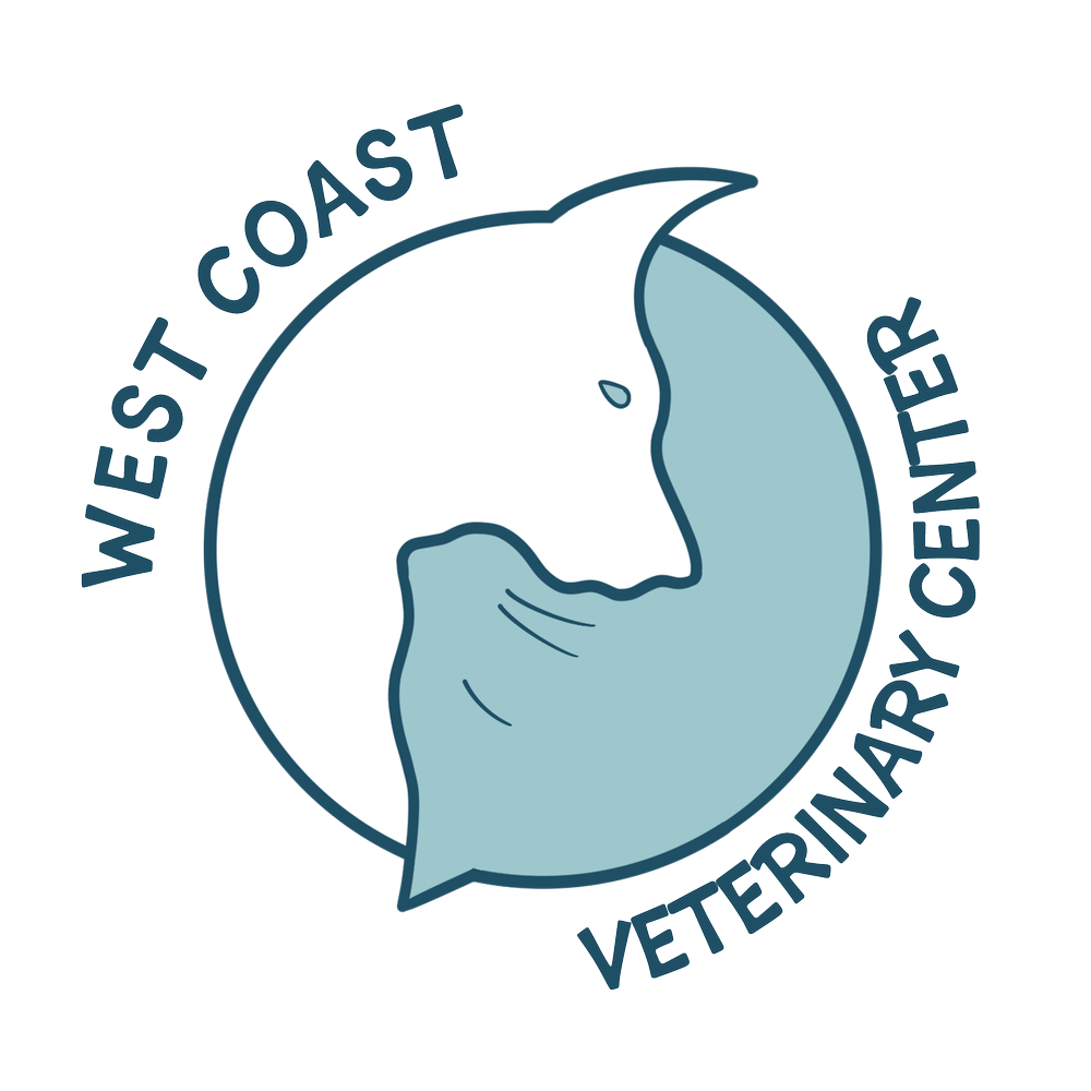 West Coast Veterinary Center team