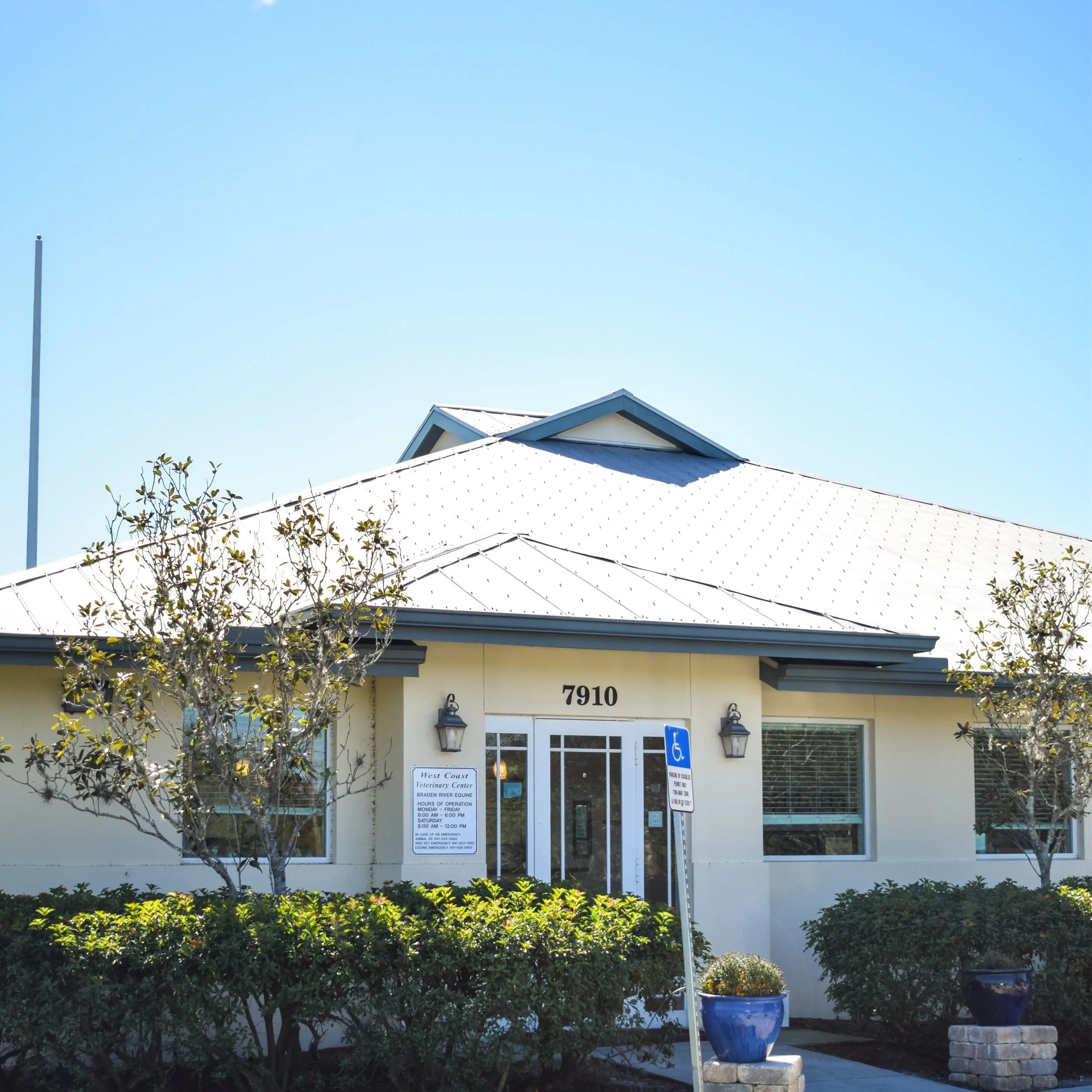 Holistic integrative veterinary medicine at West Coast Vet