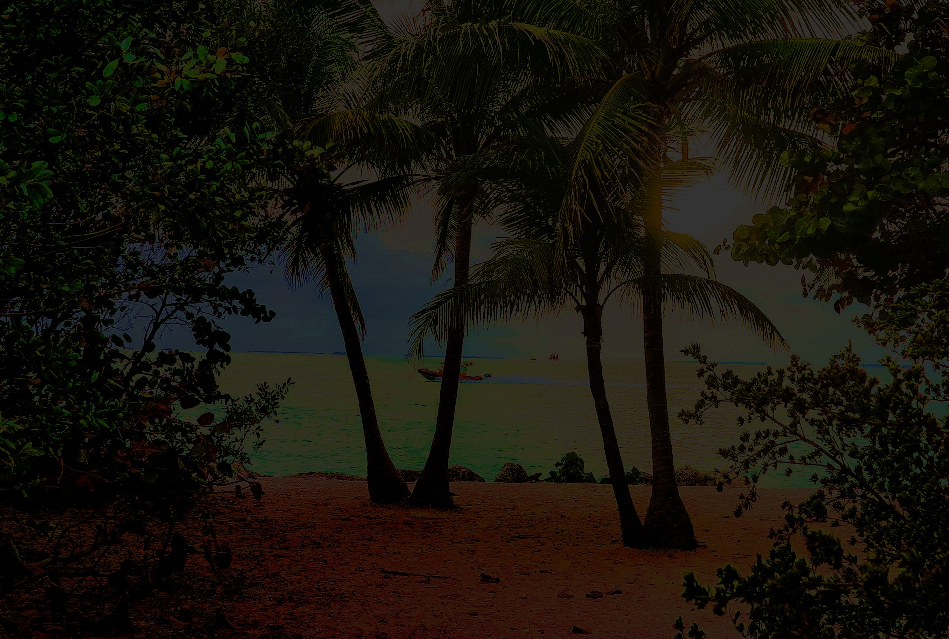 Dr. Michael Berglass