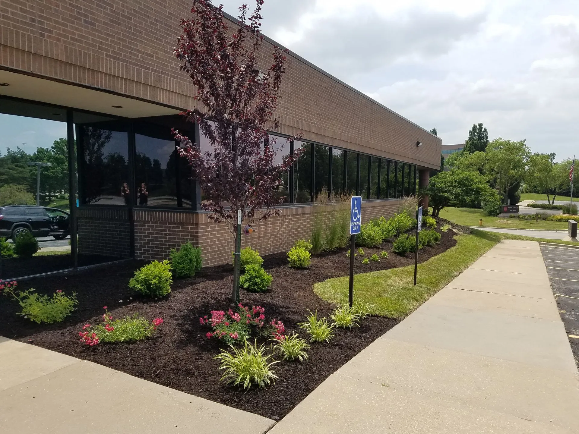 Williams Landscape garden work