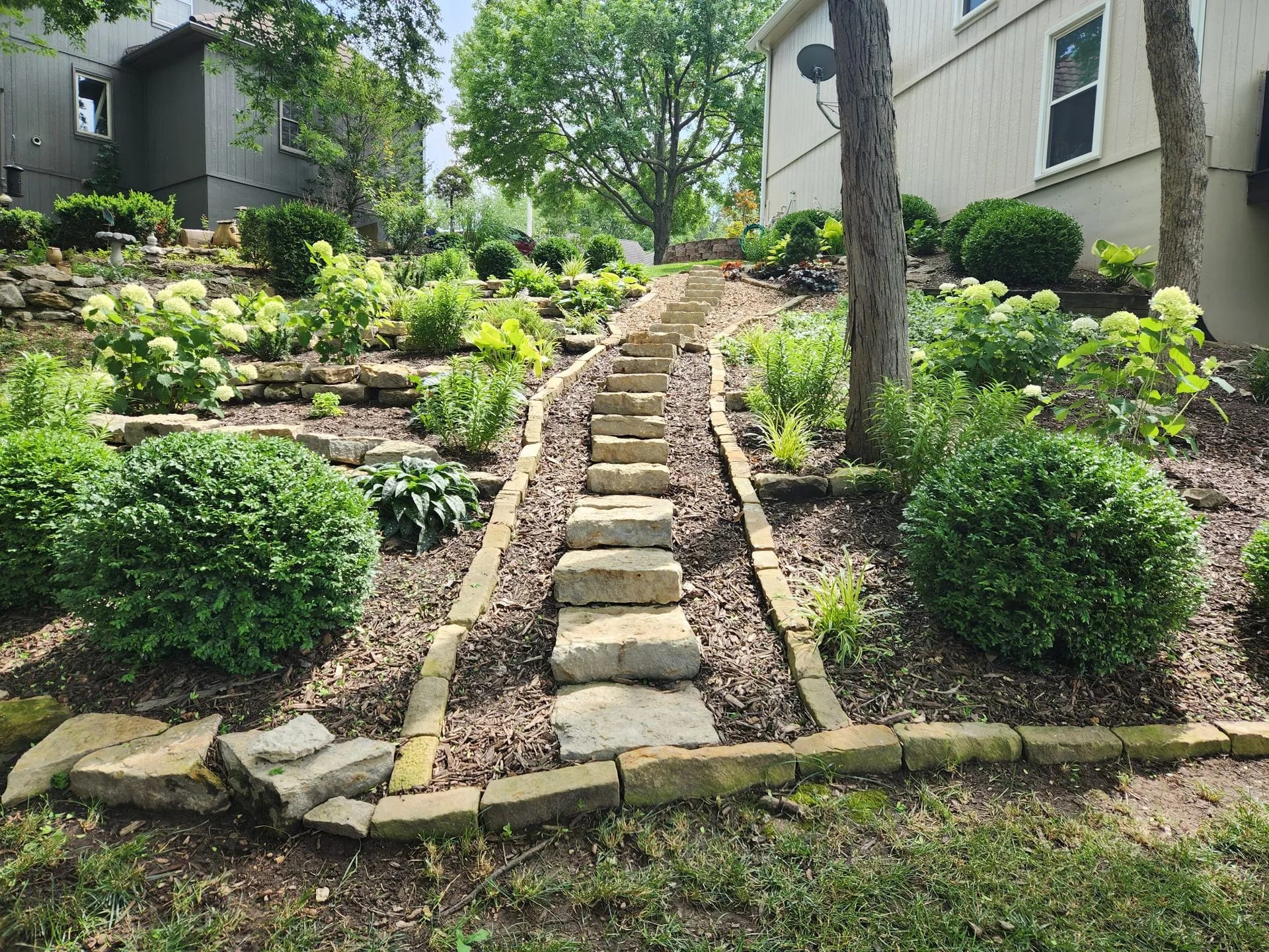 New landscape design and installation