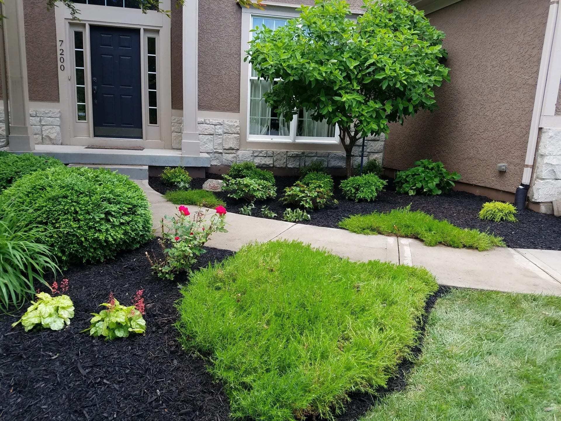 Ongoing landscape maintenance